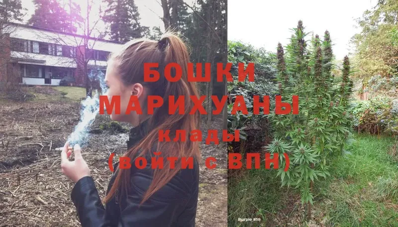 МЕГА вход  Гусиноозёрск  Шишки марихуана OG Kush 